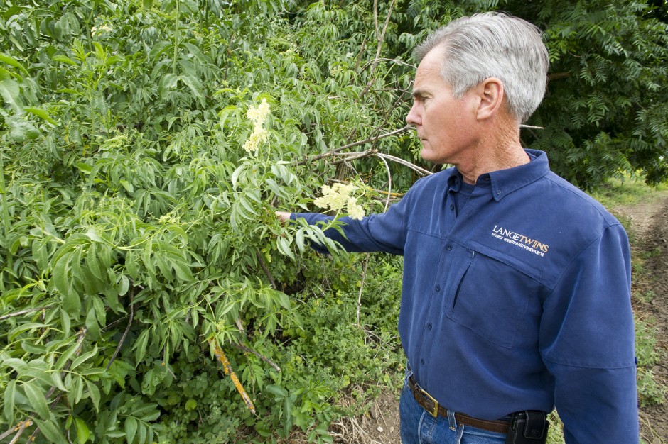 LangeTwins Winery earns conservation award, is featured in book