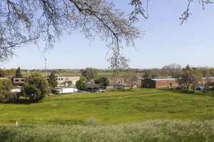 Clements
