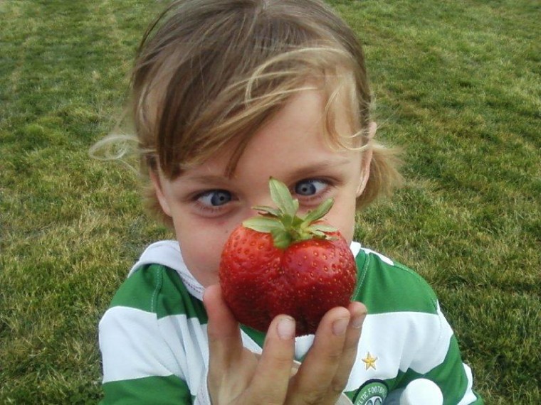 Holy Strawberry!!