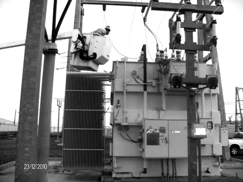 Transformer kills fox