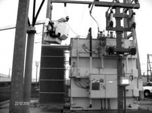 Transformer kills fox
