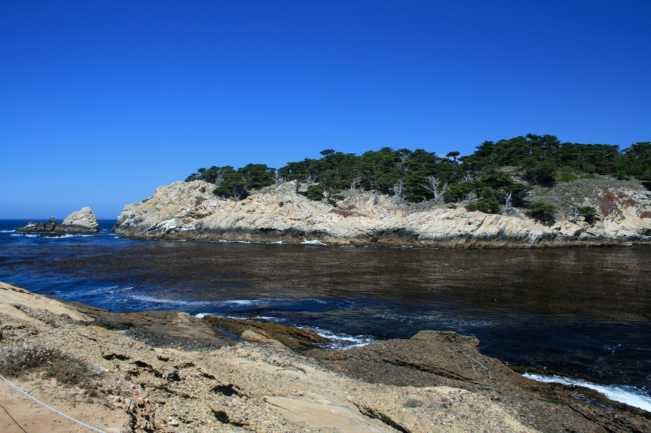 Hike at Point Lobos to enjoy rocky shores and high cliffs.