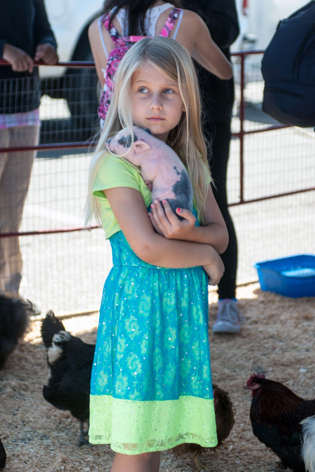 Galt Strawberry Festival