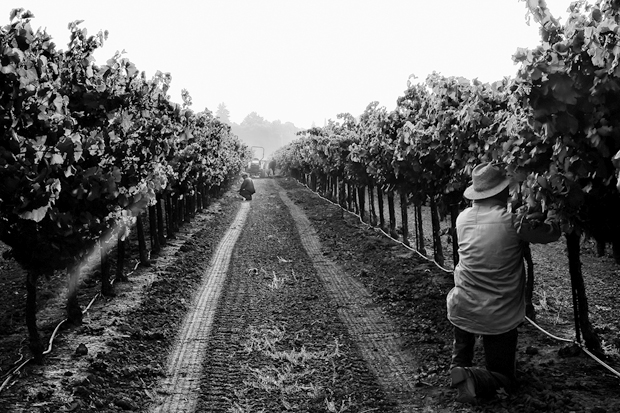 Lockeford’s Charlene Martin left the corporate world to teach farmworkers English, delve into photography