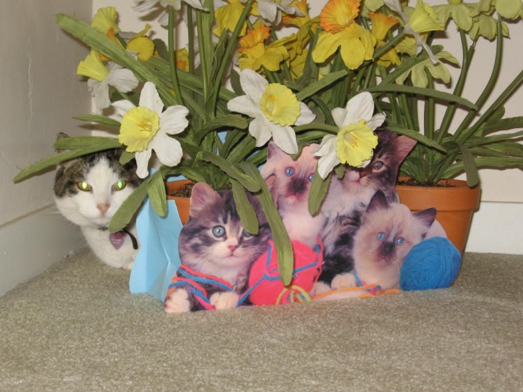 Smokie and friends