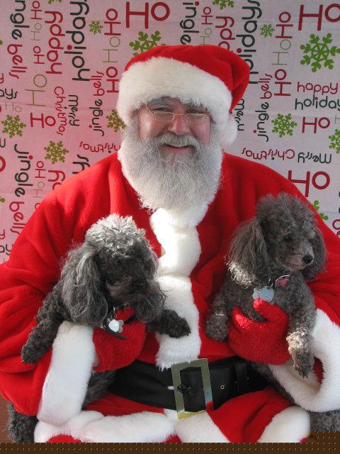 Marianberry Jam, Skippy Super Chunk & Santa Paws