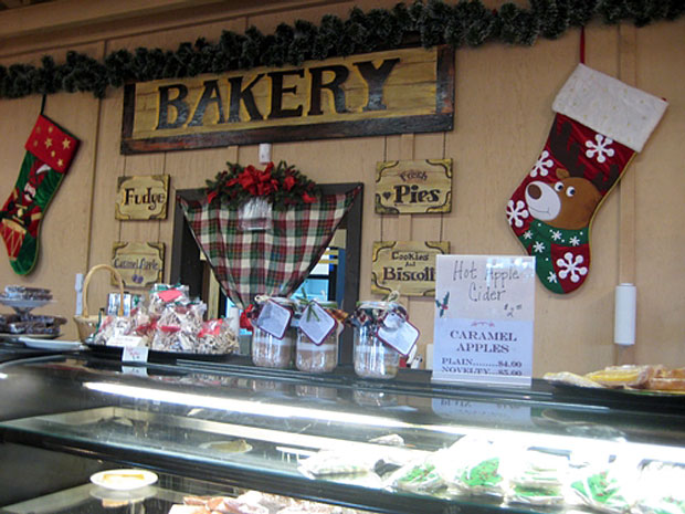 Visit Dell’Osso’s Holidays on the Farm for some winter family fun