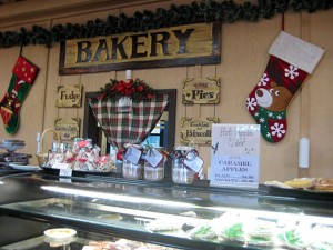 Visit Dell’Osso’s Holidays on the Farm for some winter family fun