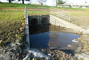 Lodi's park basins keep city mostly dry in heavy downpours 