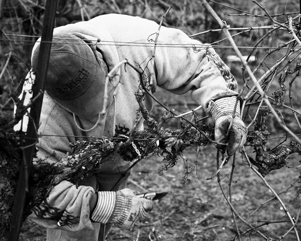 Lockeford’s Charlene Martin left the corporate world to teach farmworkers English, delve into photography