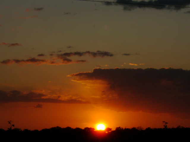 dsc09094.jpg