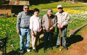 Lap and Yee Wong recall beauty of daffodils
