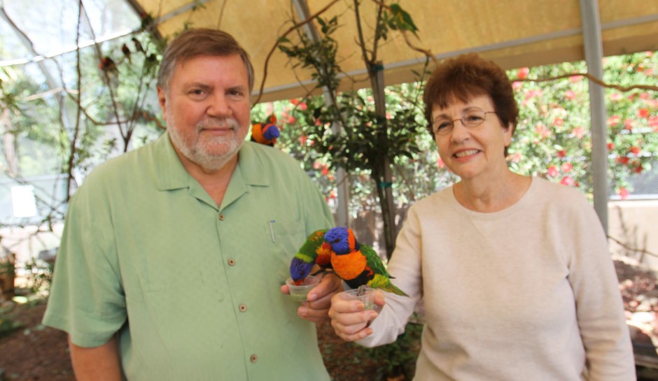 Micke Grove Zoo may soon privatize, bring in new animals