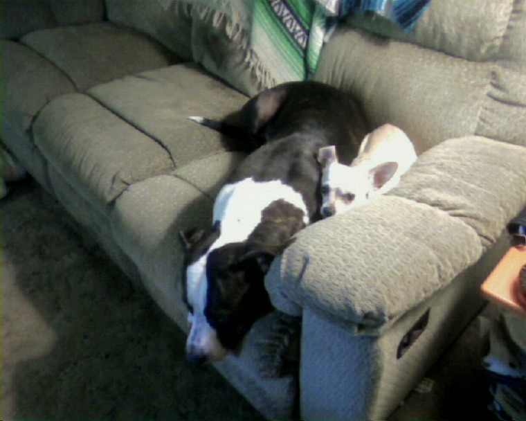 Pinky and buddy