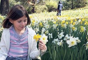 Spring it on!  