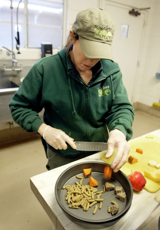 News-Sentinel reporters play zookeepers for a day 