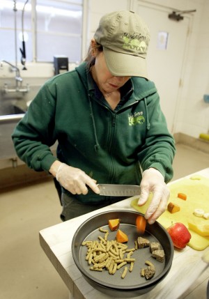 News-Sentinel reporters play zookeepers for a day 