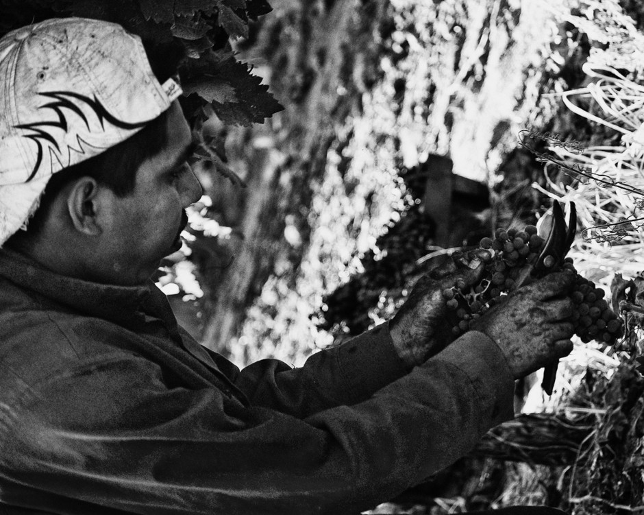 Lockeford’s Charlene Martin left the corporate world to teach farmworkers English, delve into photography