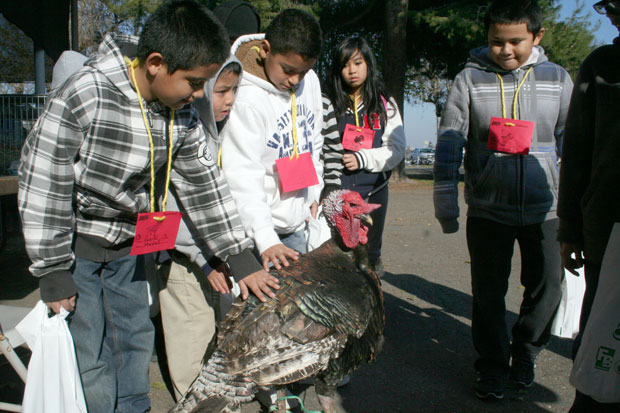 AgVenture educates San Joaquin County youths