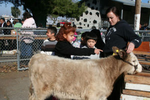AgVenture educates San Joaquin County youths