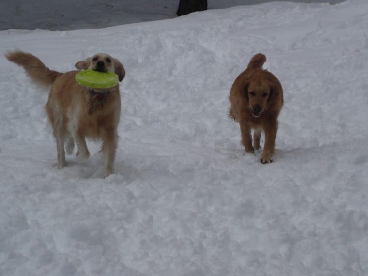 Snow Play