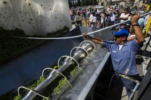 A vintage tradition at Woodbridge Winery 