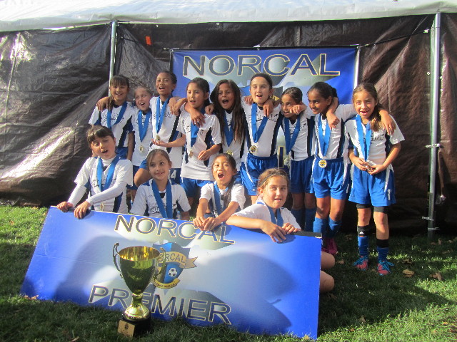 Storm FC 04G Elite U9 Girls Soccer Team