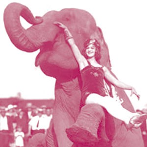 Water for Elephants
