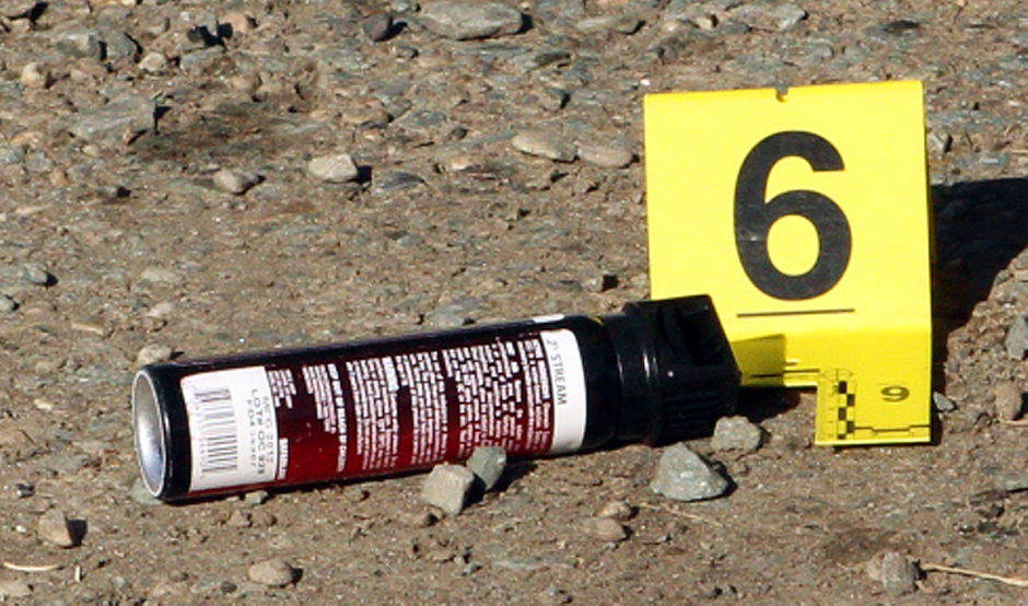 San Joaquin County Sheriff’s deputy kills aggressive dog