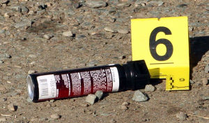 San Joaquin County Sheriff’s deputy kills aggressive dog