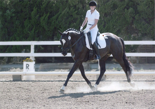 Liberty Oaks Pony Club members earn top level certification