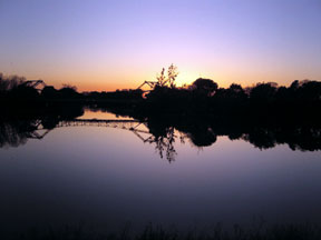 Staycationing: Summer fun on the Delta