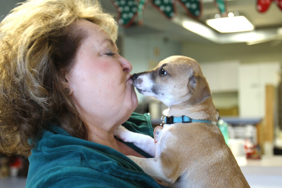 Cold weather words of wisdom for pet owners