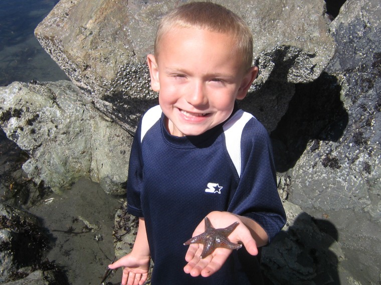 Star fish adventure in Crescent City Ca
