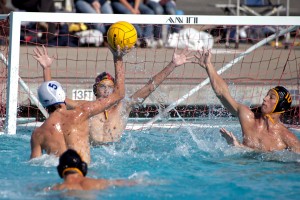 Tokay Tigers swallowed up by the Davis Blue Devils defense