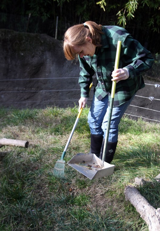 News-Sentinel reporters play zookeepers for a day 