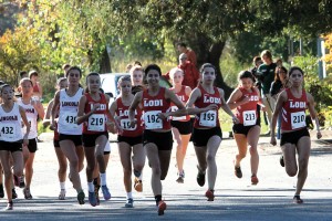Tough road leads to title for Flames girls cross country team