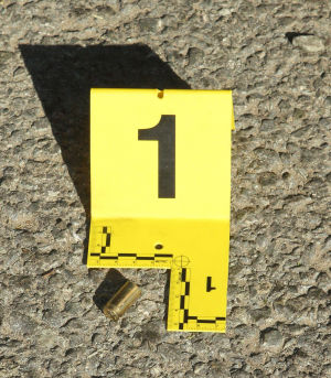 San Joaquin County Sheriff’s deputy kills aggressive dog