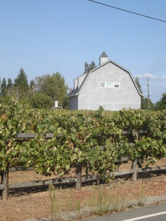 Where it all started – Kidder Family Vineyard