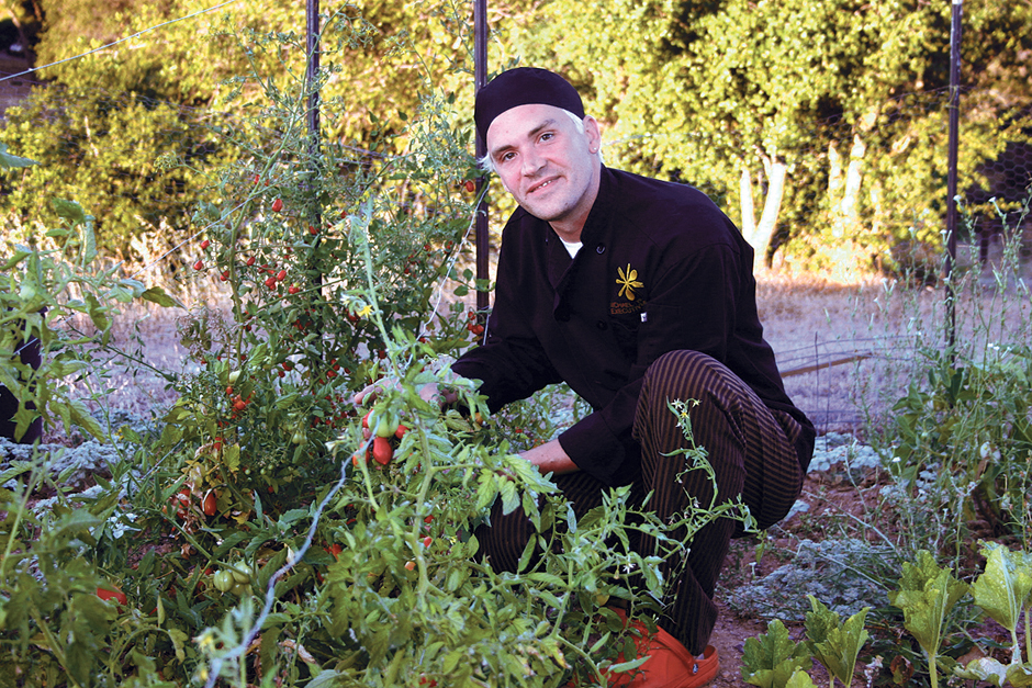 Farm to table