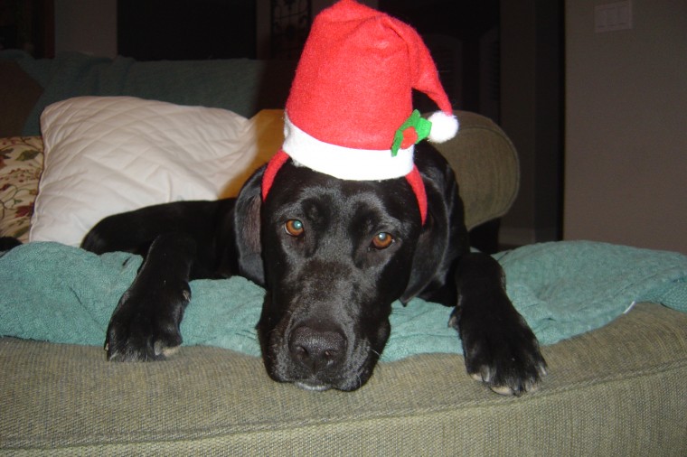 miscxmas010.jpg