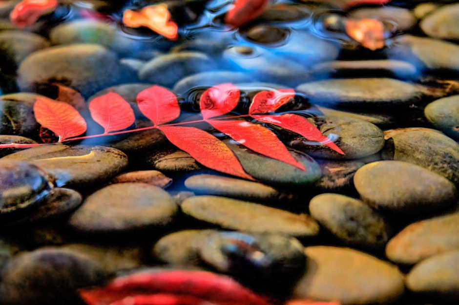 Lodi Community Art Center now featuring its first-ever local photography show