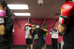 MMA classes coming to local kickboxing studio