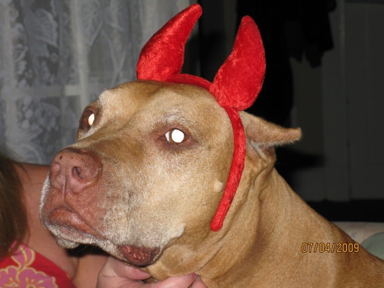 Lil devil