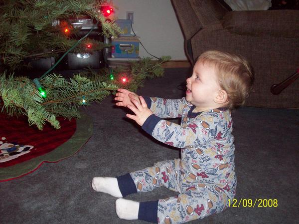 1st Christmas Tree