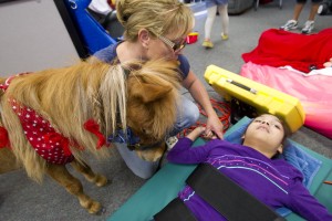 Mini horses bring big smiles to local kids