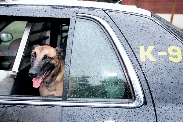 Lodi police officer’s partner has great bark — and bite