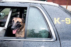 Lodi police officer’s partner has great bark — and bite