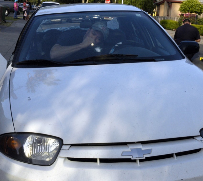 Vehicles riddled with bullets in vandalism