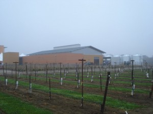 The Robert Mondavi Institute’s new winery
